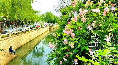 隨拍加創(chuàng)意