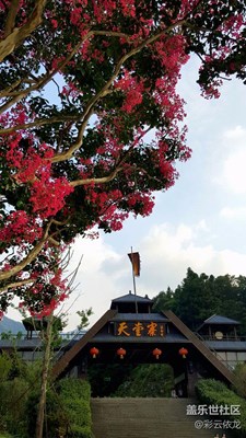 華東最后一片原始森林