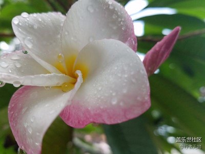 繼續(xù)發(fā)圖s7edge