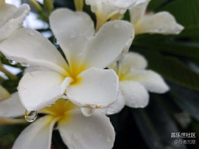 在普吉島隨拍我的s7