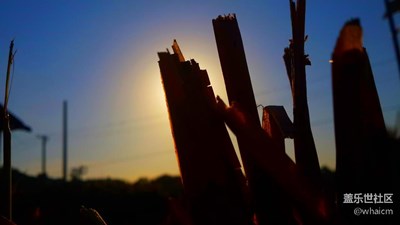 老機(jī)三星S4美照，不得不說當(dāng)時S4的拍照性能多好！