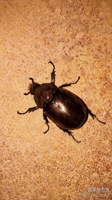 好東西就應該分享