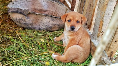 {S7}我們就要在一起