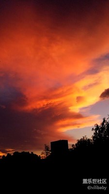 七夕快樂(lè)！