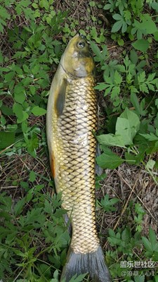 釣魚(yú)的樂(lè)趣