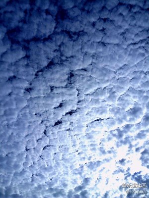 隨拍之聽說今兒是多云