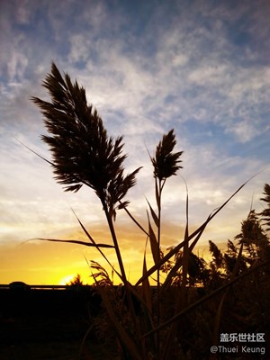 【我與晚霞有個(gè)約會(huì)】+克拉瑪依+大漠晚霞