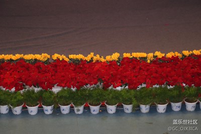 舞臺的花！！！