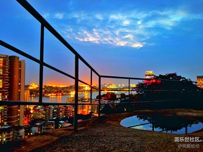 夜色中山公園夜拍