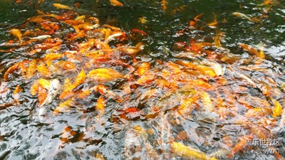 不能我一個人瞎，反光……