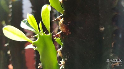 練習(xí)