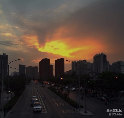 隨拍之飛鳥晚霞