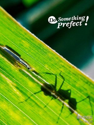 {S7}淺秋安好！