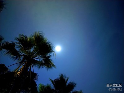 【月圓人團(tuán)圓】+廈門(mén)+中秋大博餅