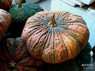 菜市瓜果香━三星C5生活*