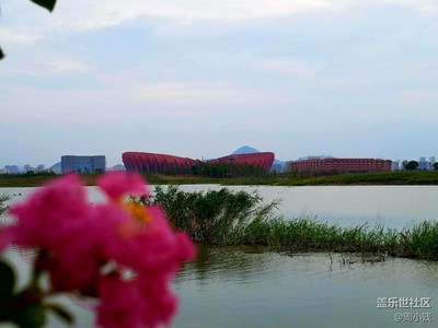 家鄉(xiāng)的濕地公園,有妹紙哦!