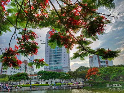 跟隨S7一起走進(jìn)全國最美校園——廈大芙蓉湖