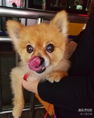 【月圓人團(tuán)圓】，北京，最長(zhǎng)情的陪伴