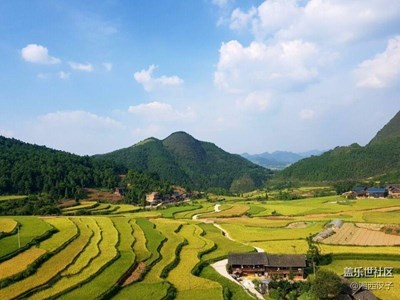 在那遙遠的地方