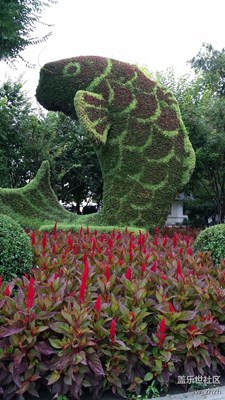 手機(jī)不拍照，街景都害臊。