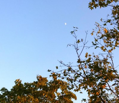 月圓人團圓+綿陽市+半月望中秋