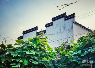 鄉(xiāng)間隨拍