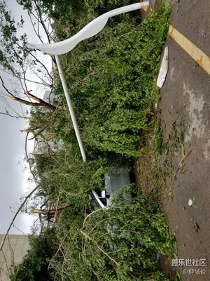 臺(tái)風(fēng)過后的廈門