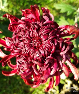 意外驚喜！發(fā)現(xiàn)在另外一塊卡里有。