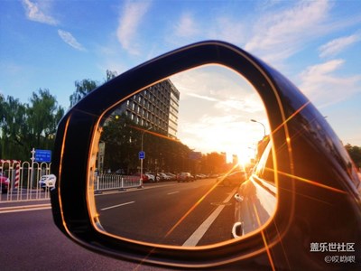 大自然中的小家伙