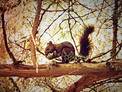 【秋色正濃】+北京+頤和園風(fēng)光