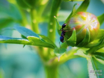 天兒好 稍微溜溜