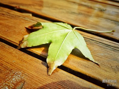 “美好”是什么，S7告訴你……