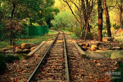 共青森林公園，拍攝分享