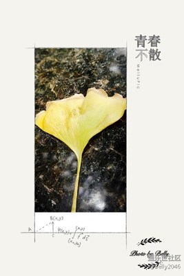 青春不散，不散青春