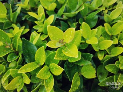 分享幾張治愈系圖片