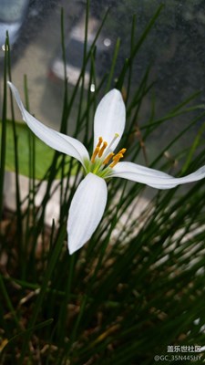 秋色正濃+泗水+角落里的秋天