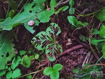 【秋色正濃】，忻州，秋的種種心情