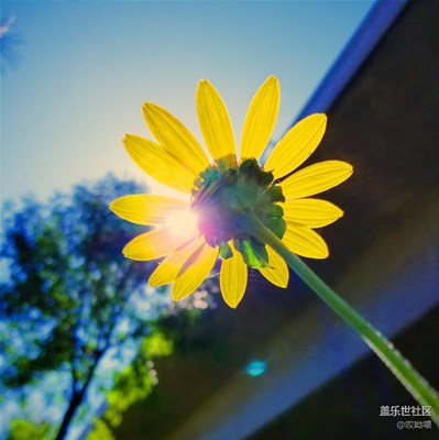 就叫歲月靜好吧