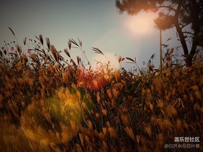 【秋色正濃】+灤州+秋色