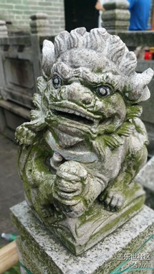 一對生無可戀的石獅子