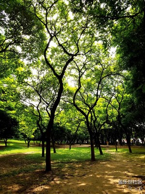 【秋色正濃】+虎門+無秋之秋