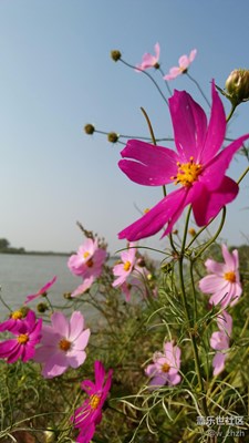 鏡頭總能發(fā)現(xiàn)美！