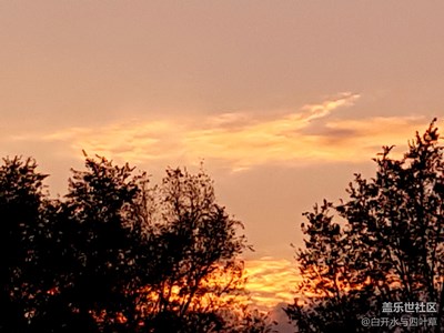 我的自駕之旅——第一站盤(pán)錦湖濱公園