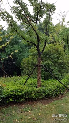 帶著Note7游南京紅山動(dòng)物園。