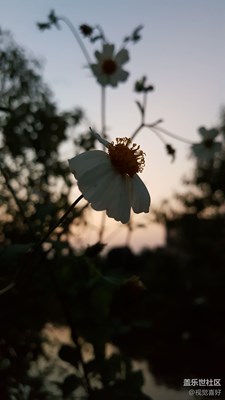 好久沒上冊(cè)了！