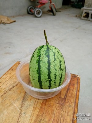 這西瓜不小