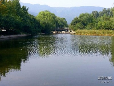 別樣國慶+北京+北京植物園第24屆市花展