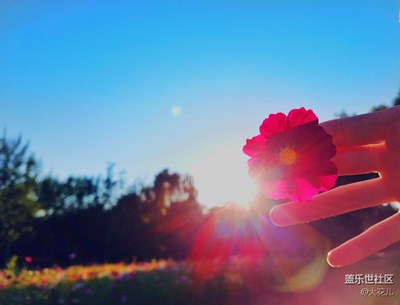 濃情十月，你好～～