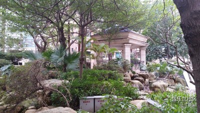 小區(qū)的冬天