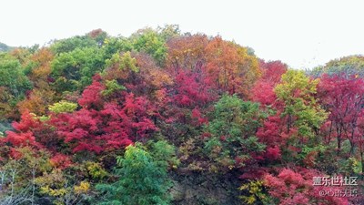 【別樣國慶】+本溪+楓葉大道